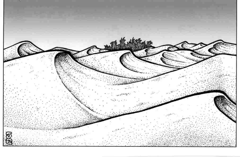 desert "room"